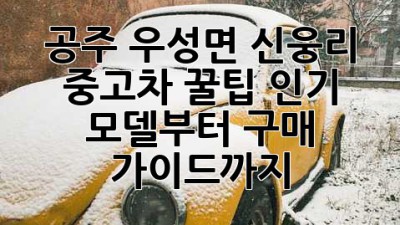 공주 우성면 신웅리 중고차 꿀팁🍯: 인기 모델부터 구매 가이드까지!