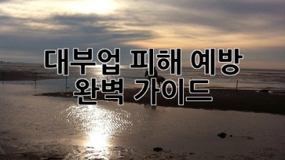대부업 피해 예방 완벽 가이드! 😱