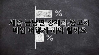 세종 금남면 장재리 중고차 매입, 어떻게 해야 할까요?