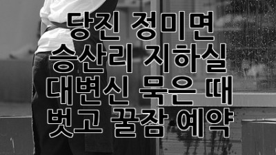 🧹✨ 당진 정미면 승산리 지하실 대변신! 묵은 때 벗고 꿀잠 예약 🛌